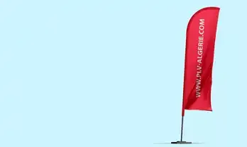 Beach flag